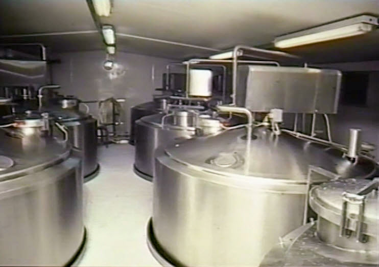 1990's Ruyton Starter Room. (Stills from Ruyton Video (Steven Harley))