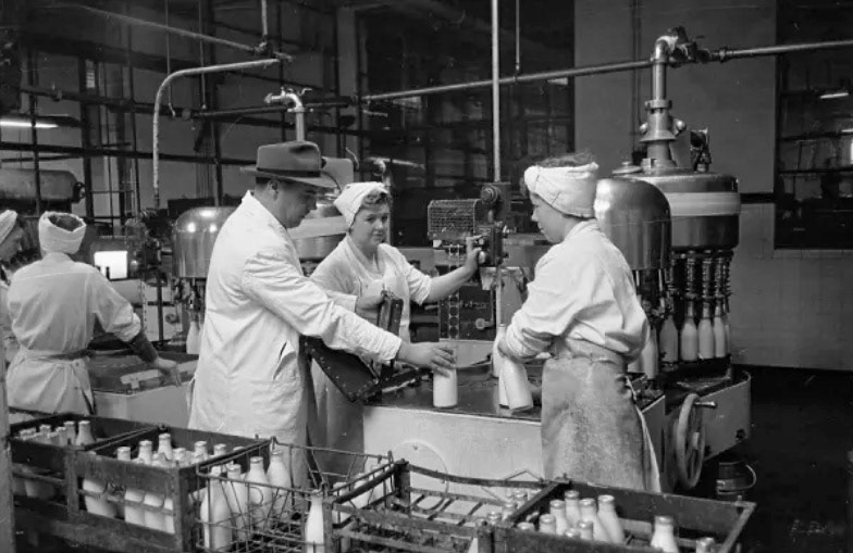 1953 Dairy workers on the bottling line in a Glasgow dairy. (Courtesy  Picture Post-6754 'Glasgow: How A City Is Run')