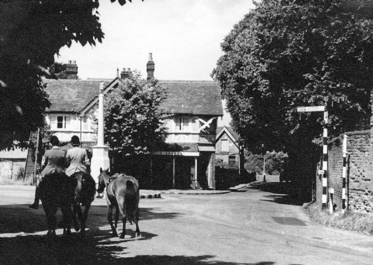 1951 Michael Funnell comments "Hodges dairy in the background, supplier of much local milk including the village school, delivered by horse and cart. "(Courtesy Tony Goring, Bansteadvillage.com)