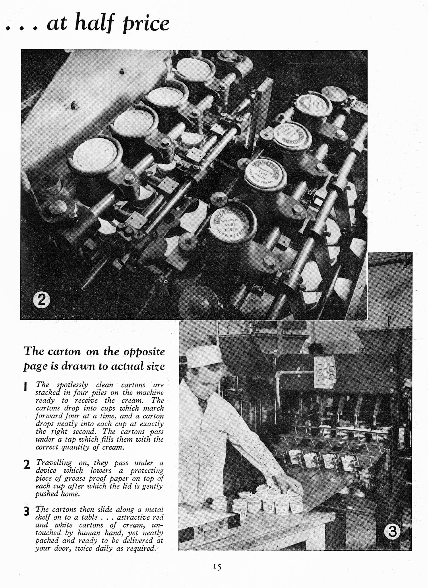 1935 January-Dairymaid Magazine 43 Page 15 (Express Dairy Tales Archive)