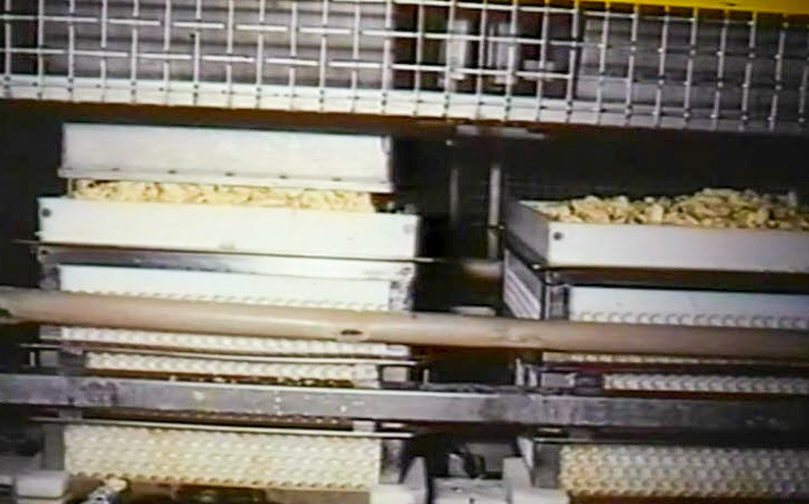 1990's Ruyton Alfamatic Plant, before the cheese press. (Stills from Ruyton Video (Steven Harley))