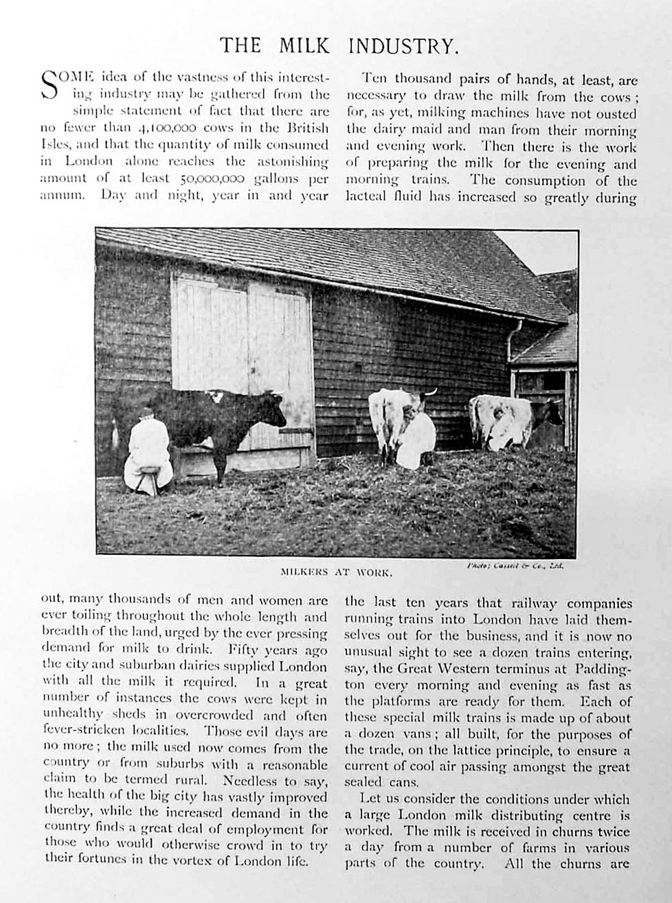 1910c 'Britain at Work' extracts - The Milk Industry. (Courtesy eBay Oldprints4all)