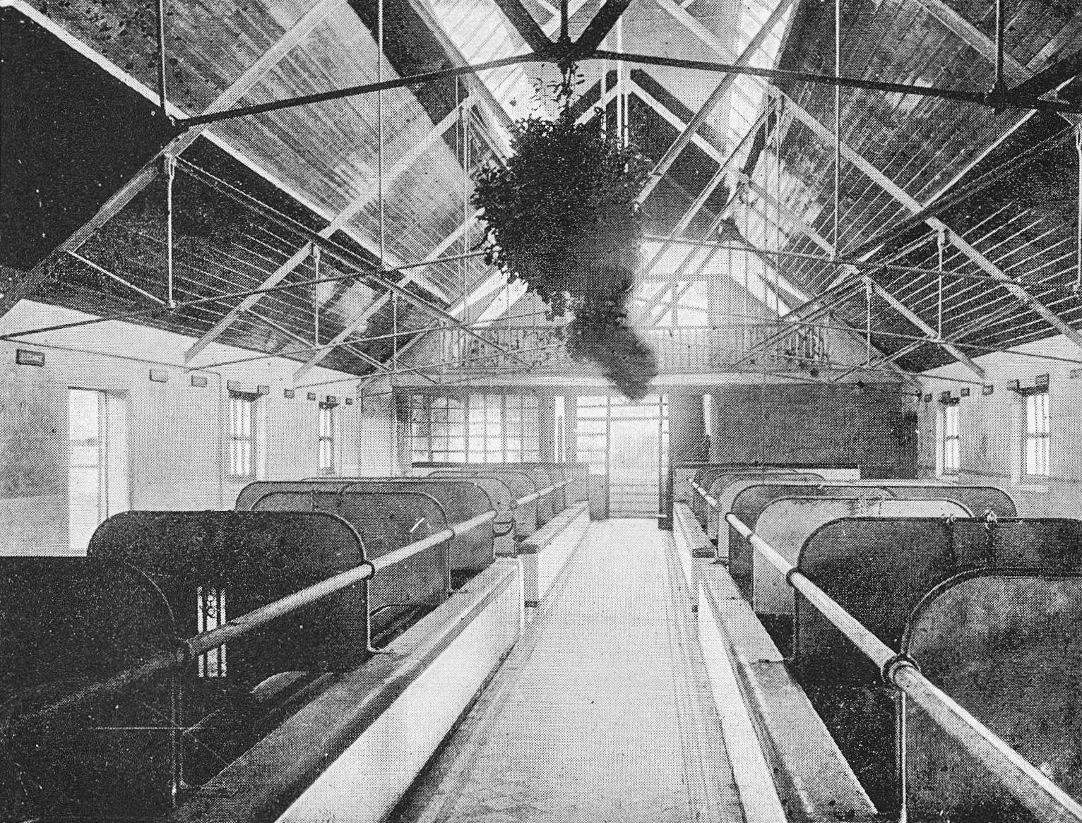 1893 The Cow House, College Farm. From 'Souvenir from Finchley' (Courtesy Brian Wastell)