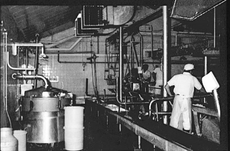 (Courtesy Joe Lyons)