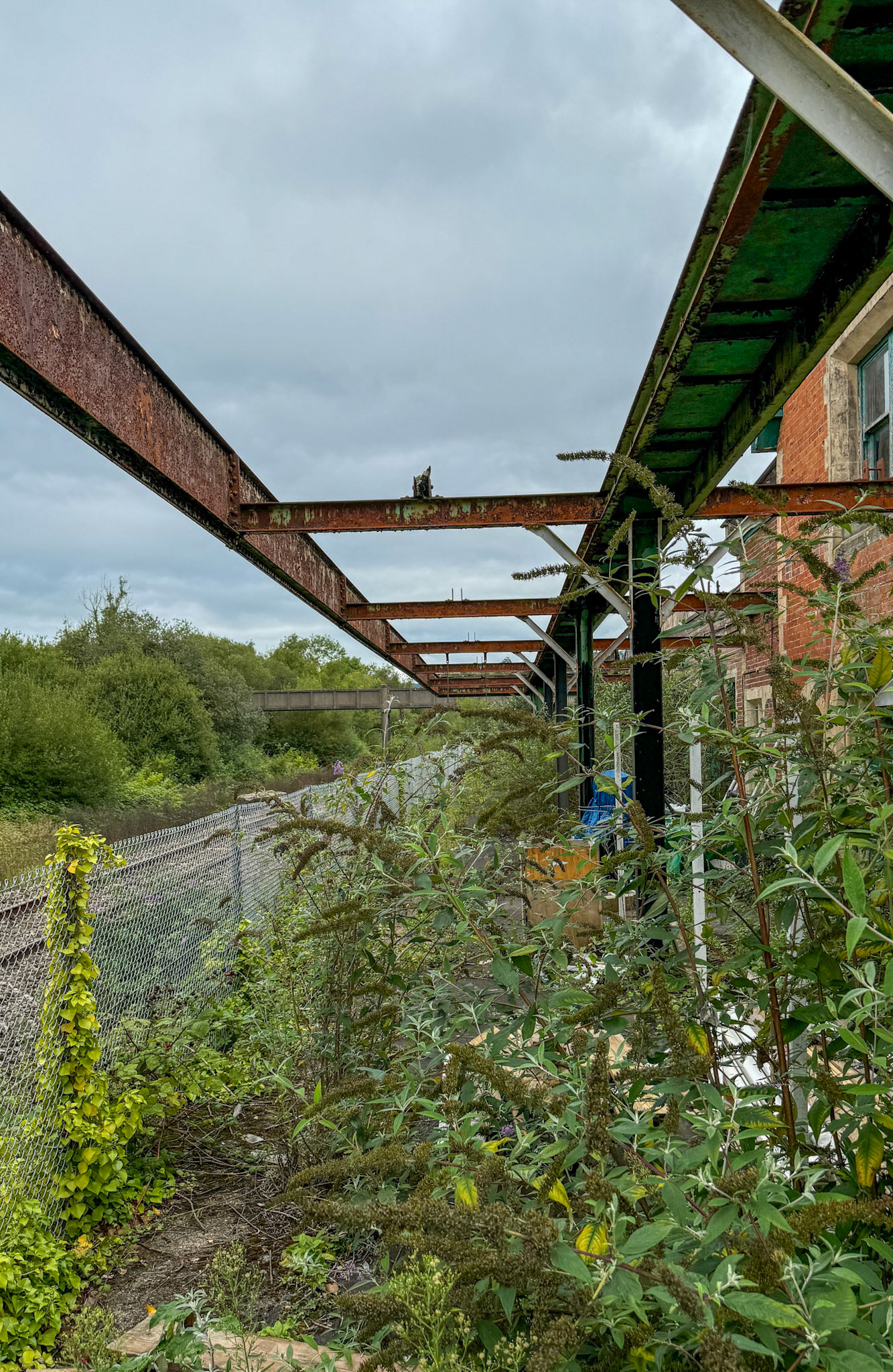 2024 Seaton Junction Site visit - 21