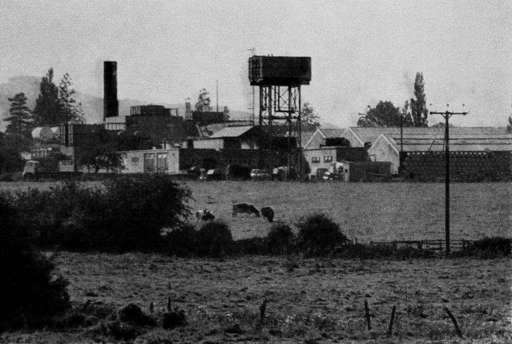 1962 Minsterley, employed 200 staff. (Express News Christmas)