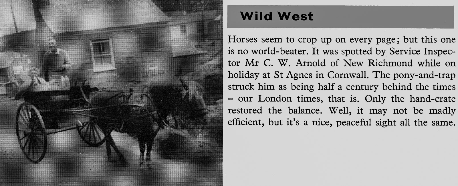1960 Pony and Trap delivering milk in Cornwall. (Express News Autumn)