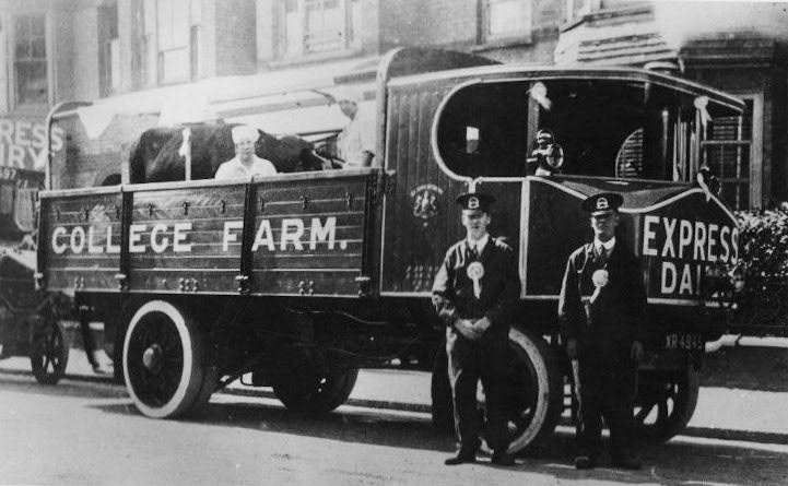 1930's? College Farm delivery wagon complete with cow!