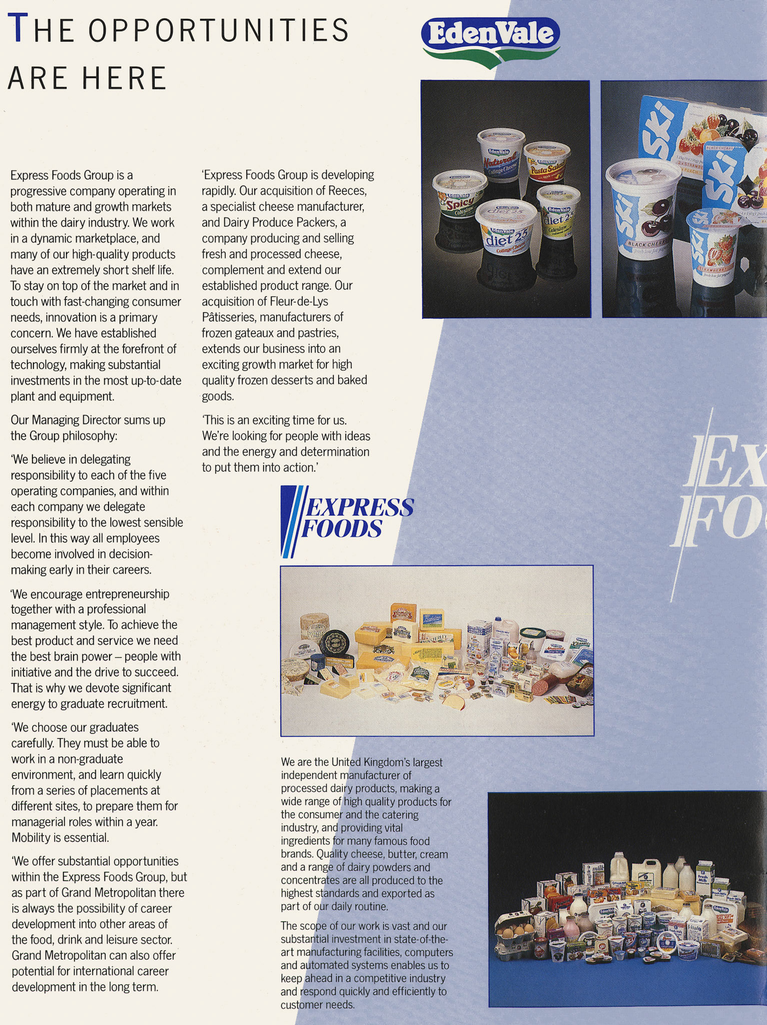 1987 Graduate Recruitment Brochure 'A New Perspective' Introduction. (Courtesy Soo Rose-Cook)