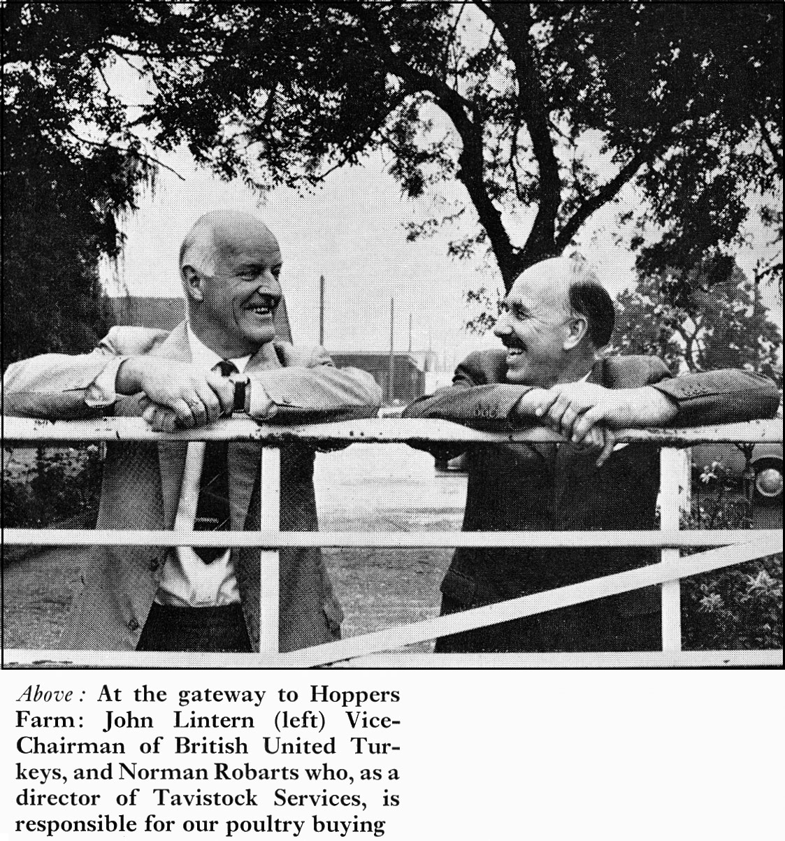 1969 Norman Robarts, Director of Tavistock Services, discusses turkeys with John Lintern at Hoppers Farm.  (Express News Christmas)