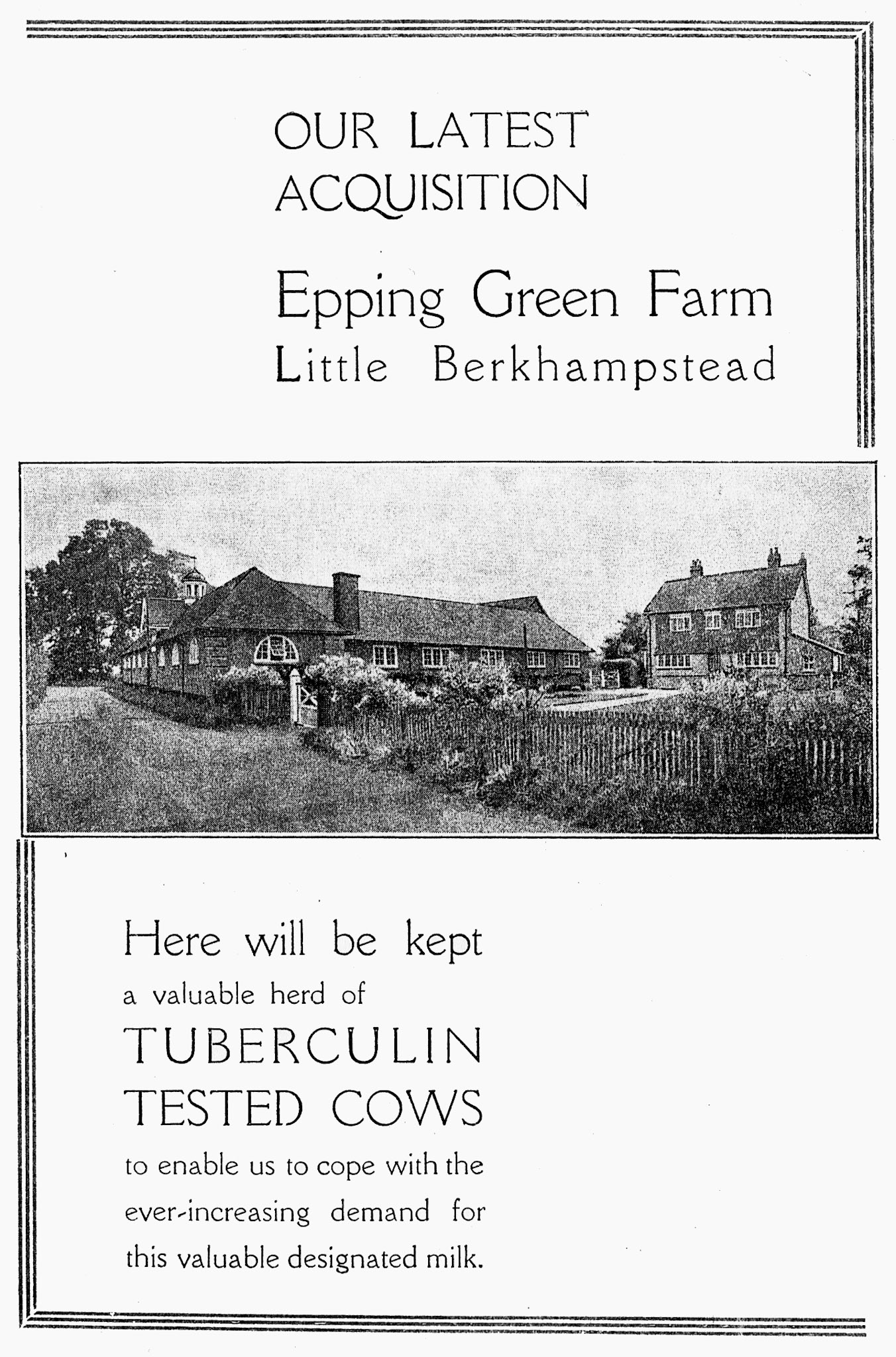1950's A1 Dairies leaflet promoting their farms- (Courtesy Paul Smith)