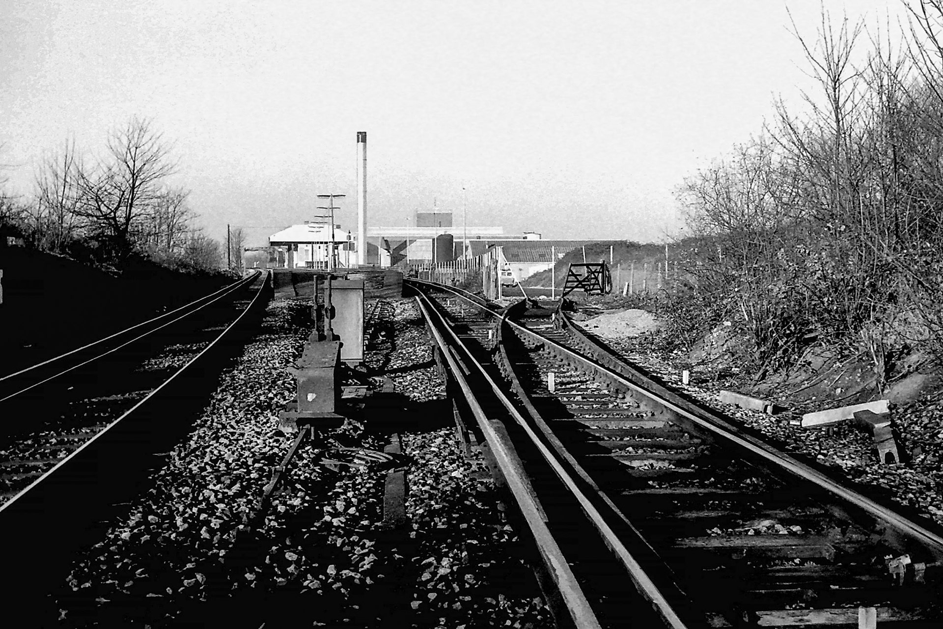 1980 Views of South Morden Dairy from Morden South Station, after rail siding removal. (Photographer Sam Jones)