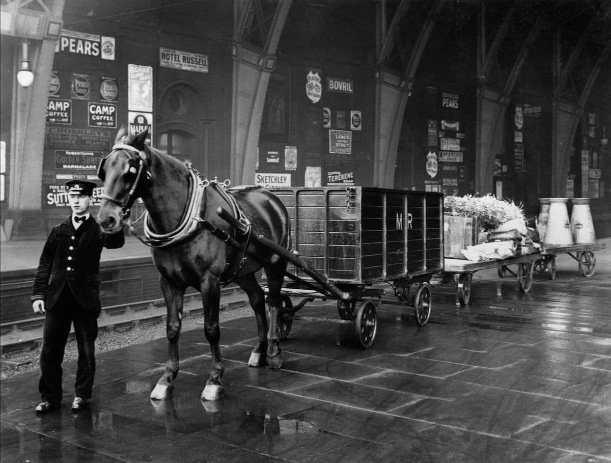 1912 "A neatly turned-out porter is seen leading a horse-drawn dray at St Pancras station, 9th January 1912. I love the advertisements in the background - Camp Coffee, Pears Soap, Suttons Seeds, Bovril, all of which are still with us although there is one for Sketchley which disappeared from the High Street a few years ago." (Courtesy Tim Woolnough, Old London Photos FB Group)