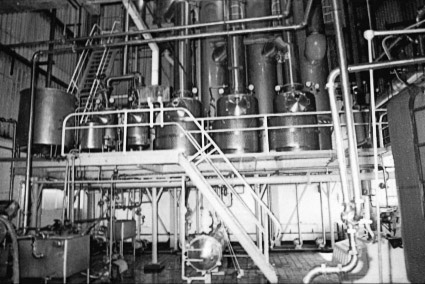 (Courtesy Joe Lyons)