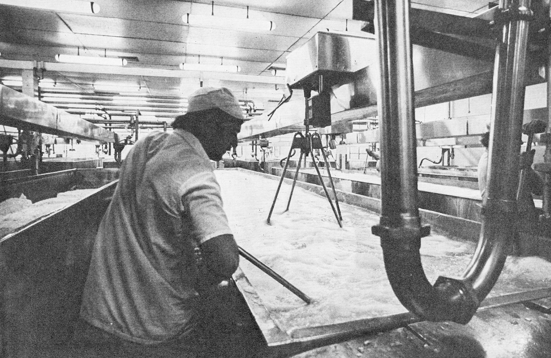 1975 Minsterley Cottage Cheese production. John Potter comments "...this photo of myself taken about 1975 in the cottage cheese vat room, worked here for 31 years and very grateful for the dairy as without it Minsterley would have been a ghost town".