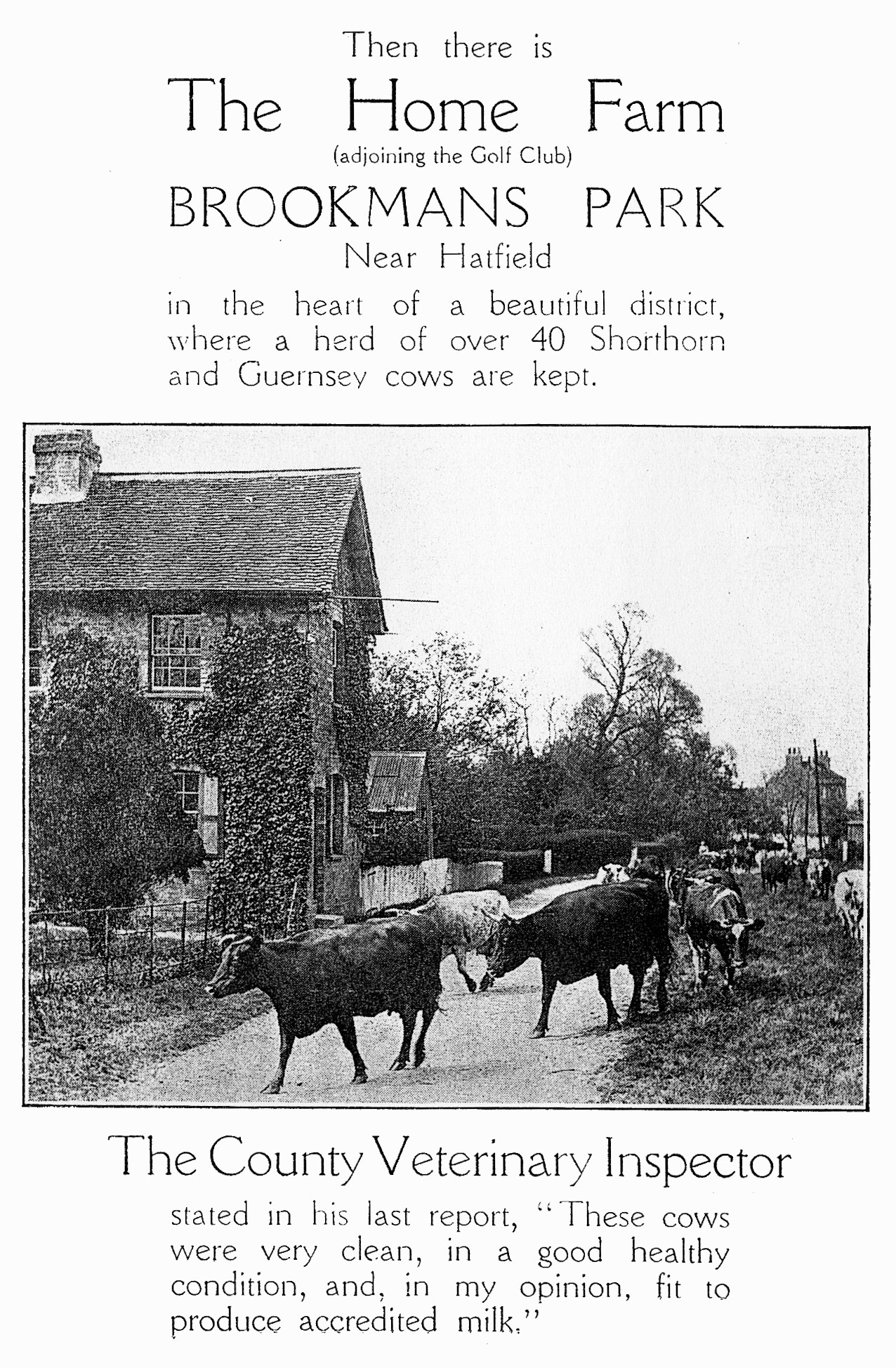1950's A1 Dairies leaflet promoting their farms- (Courtesy Paul Smith)