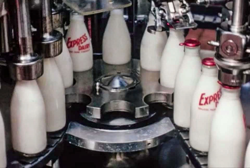 1950's? Capping homogenised milk at South Morden. (Courtesy Paul Smith)