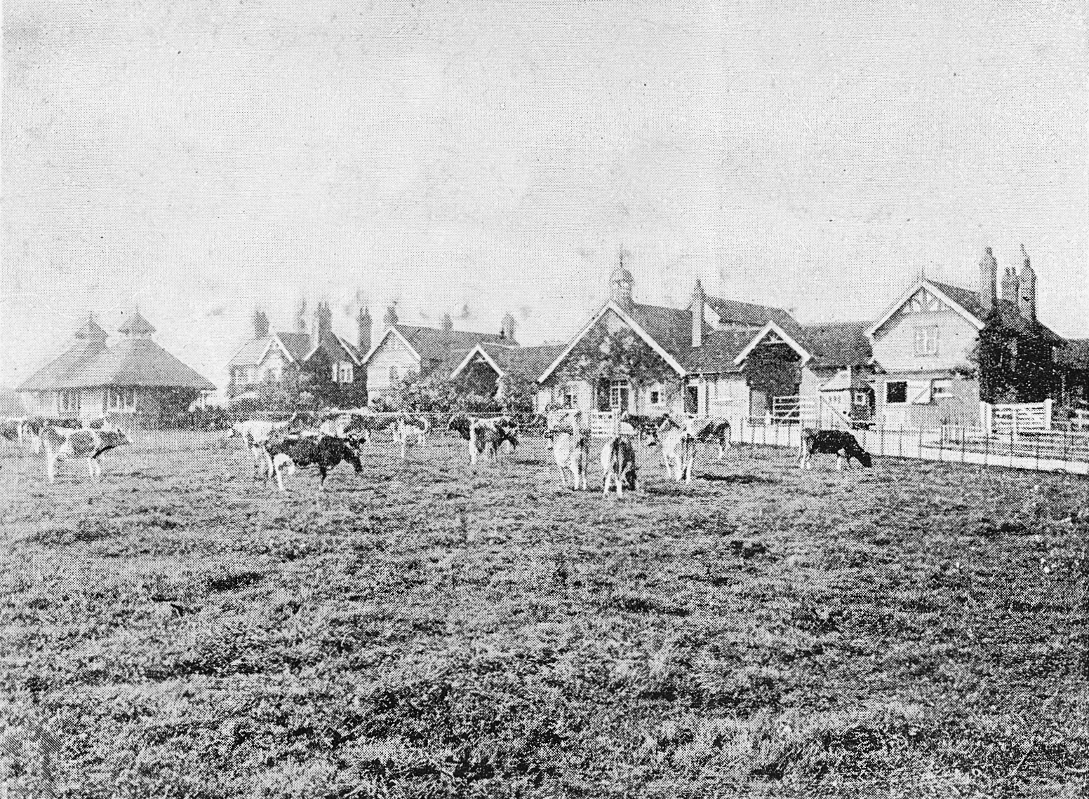 1893 'The Homestead, College Farm, Finchley - the frontispiece to Professor Sheldon's new work on "British Dairying". From 'Souvenir from Finchley' (Courtesy Brian Wastell)