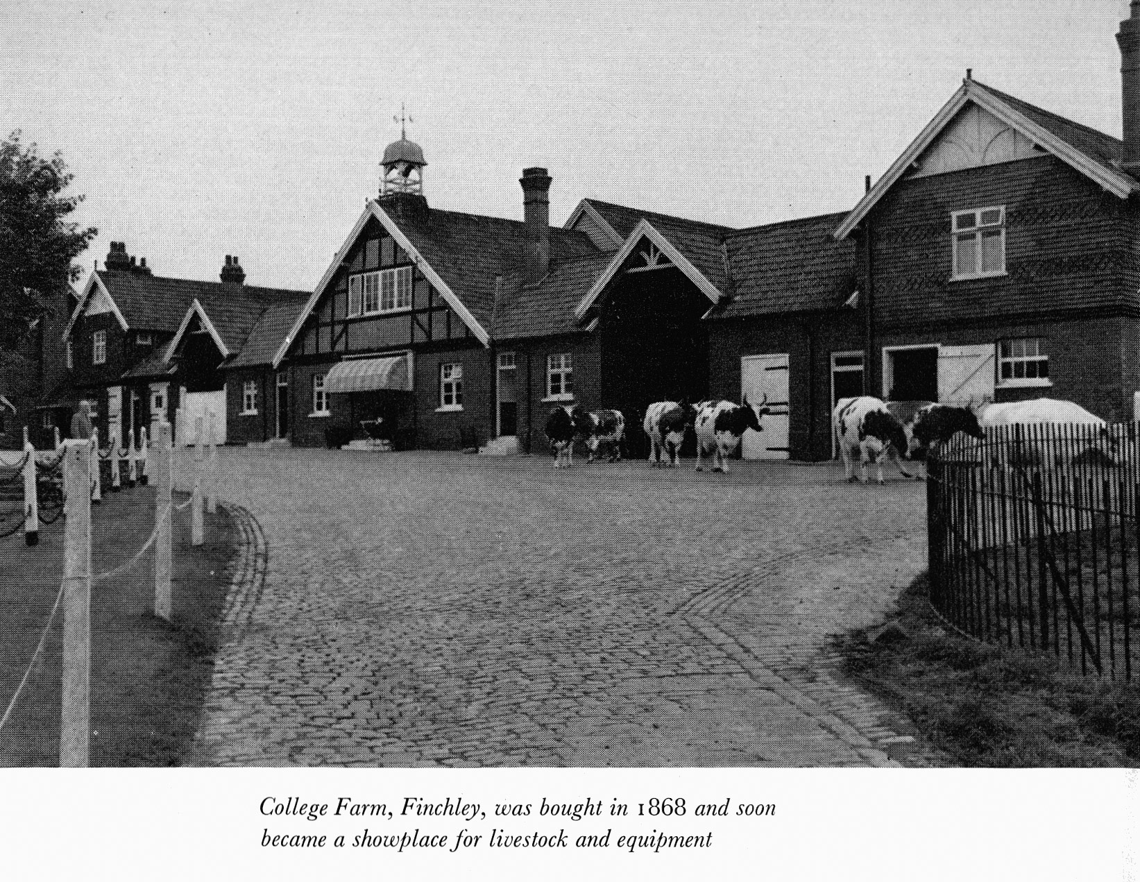 Express Journey (Book) 1964 - College Farm, Finchley, was bought in 1868 and soon became a showplace for livestock and equipment.