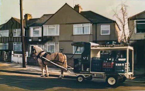 1988, Parkfield Ave. Lesley Robinson comments "still going strong..." (Courtesy Lesley Robinson)