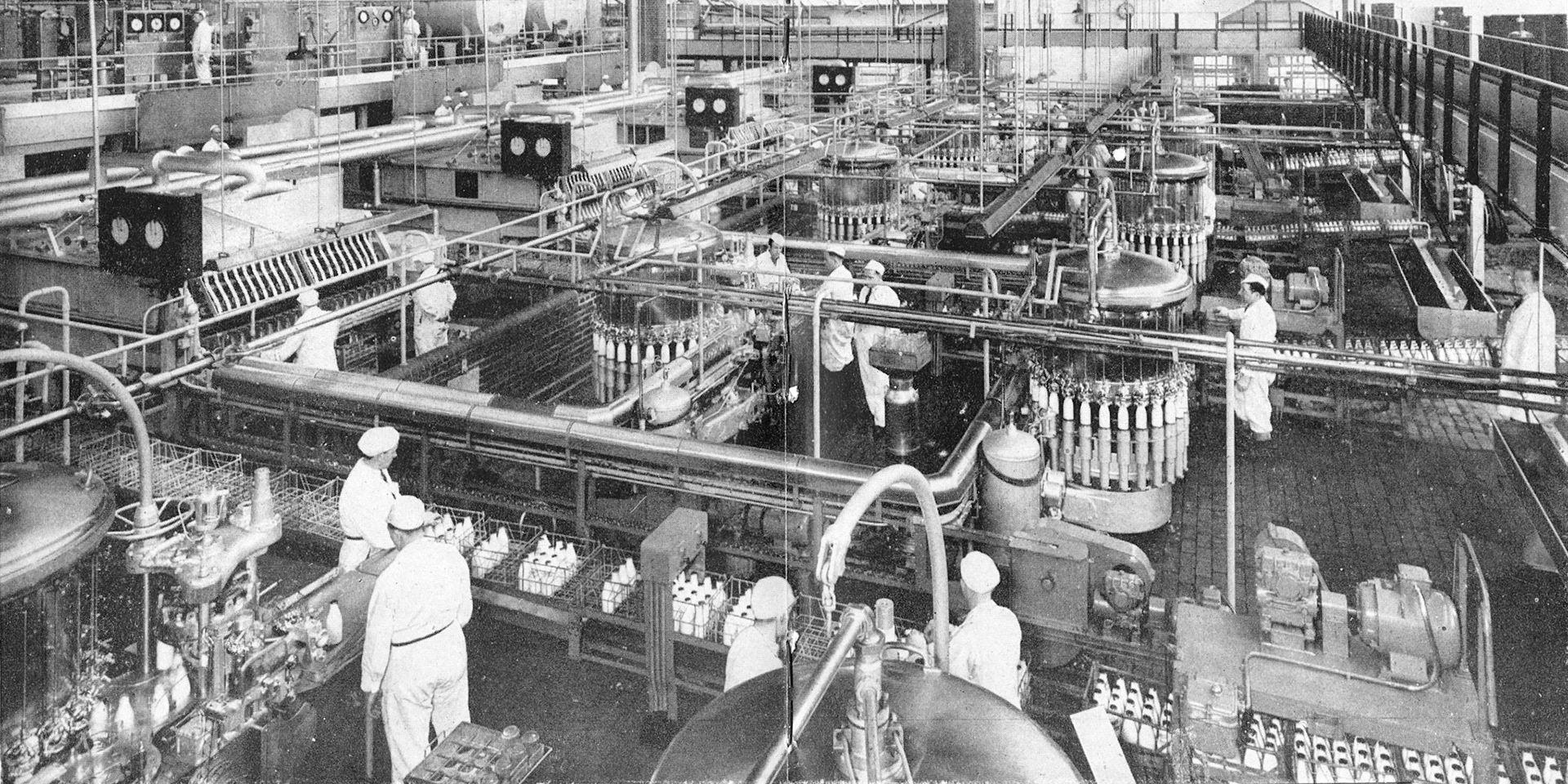 1952 'The Express Dairy' Booklet