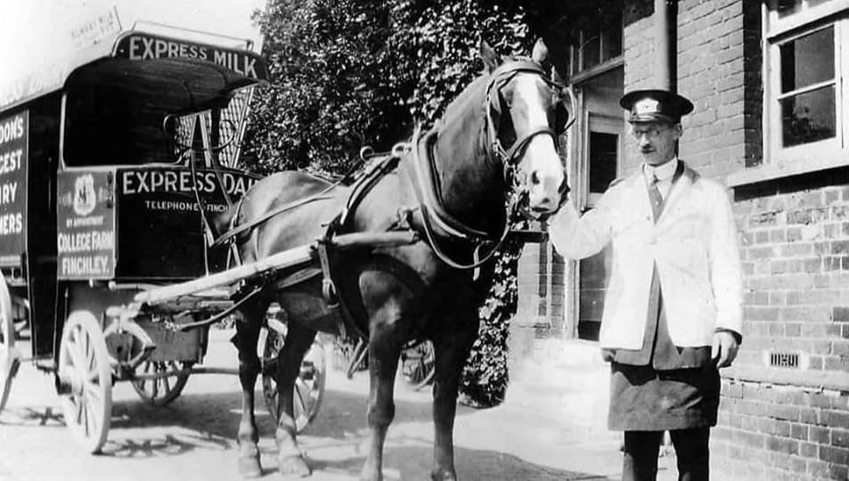 College Farm, Horse-drawn float. (Courtesy Kevin Friend)