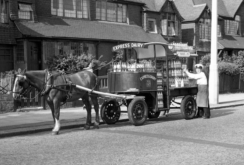 Horse drawn cart (Courtesy Michael Aldread)