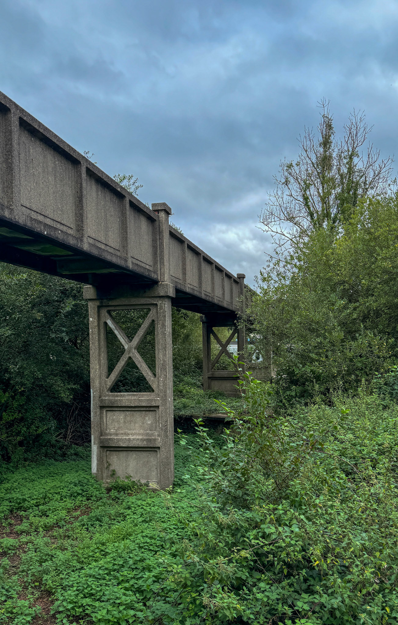 2024 Seaton Junction Site visit - 29