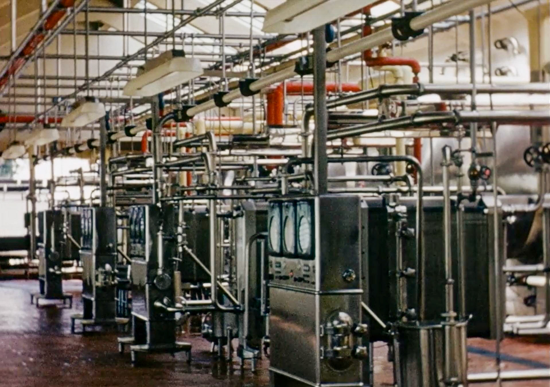 1954 South Morden Processing-APV Pasteuring plant. (Stills from Express Dairy Film)