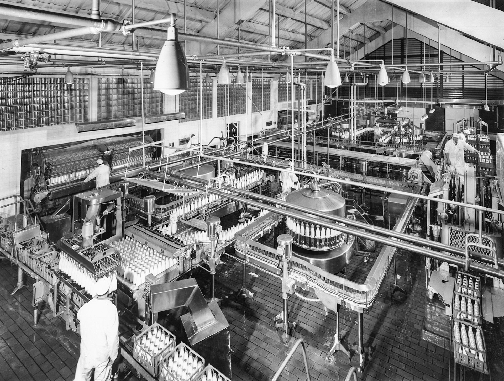 1969 'The Ever-Changing Face of South Morden' equipped with new Graham-Enoch fillers running at 450 bpm. (Express News Spring, this Studio Cole print from Negative F658-1 from Paul Luke)