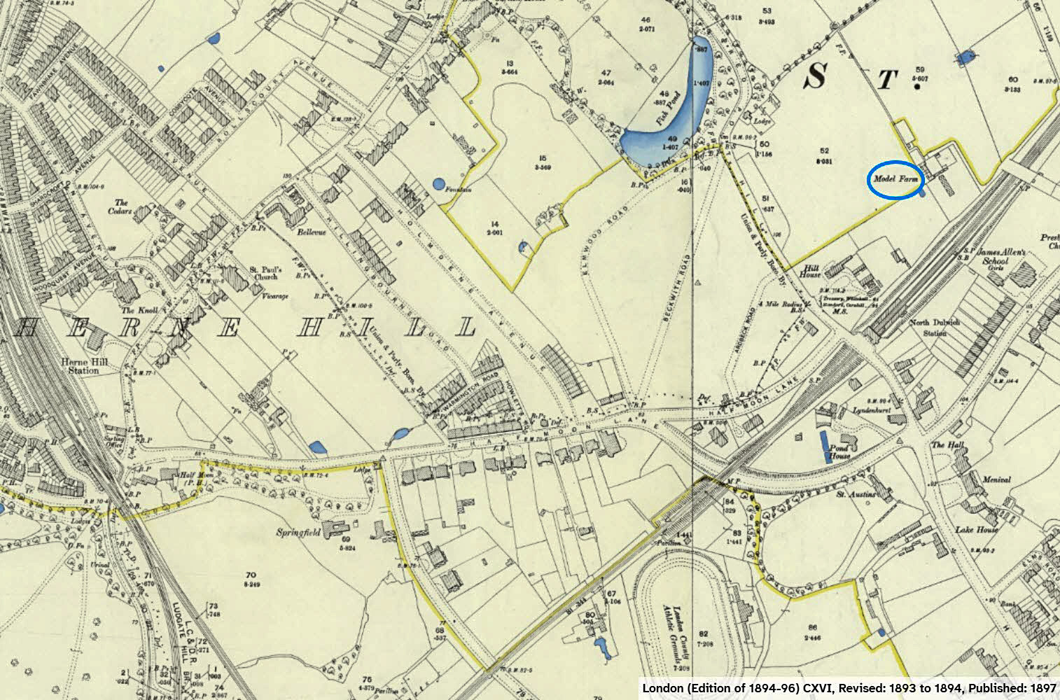 1894 Likely location of Express Dairy's 'Ayrshire Farm' at Herne Hill. 1894 (Map Courtesy National Library of Scotland)