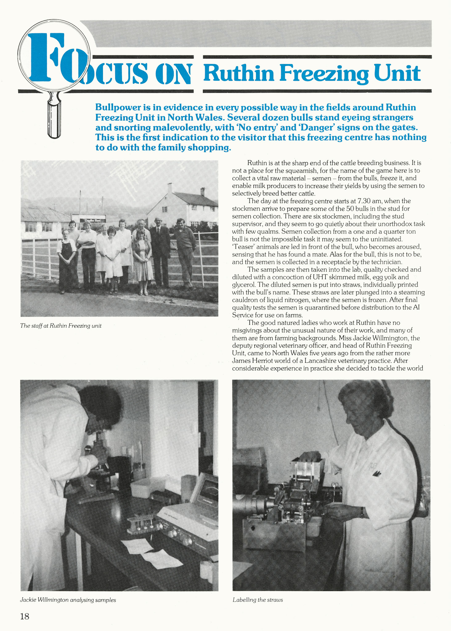 1983 MMB Magazine, special 50th Anniversary edition. (Courtesy Andy Wallis)