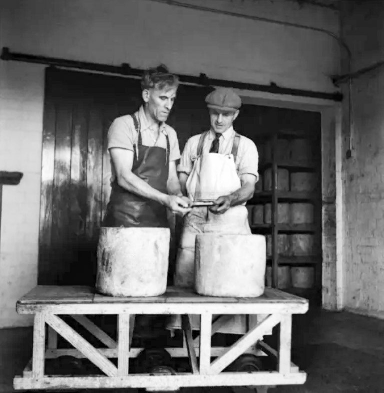 1953 Jack Wilding, head cheesemaker at Minsterley Creameries, who gains the MBE for boosting production 35% in the twelve Years he has held his position. He started with the firm as a boy 36 years ago. (Courtesy Mirrorpix)