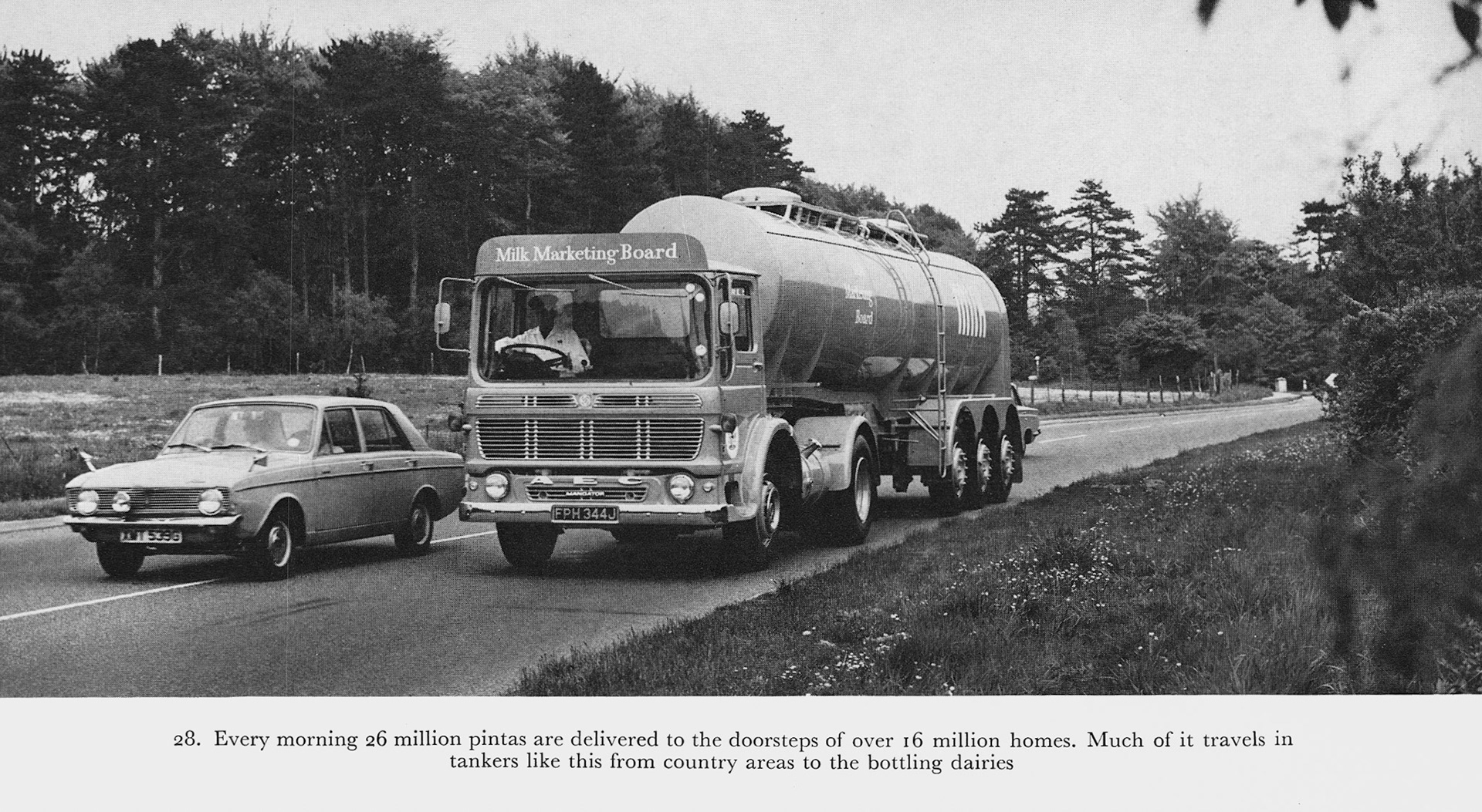 1973 Illustrations from 'Milk to Market', Stanley Baker