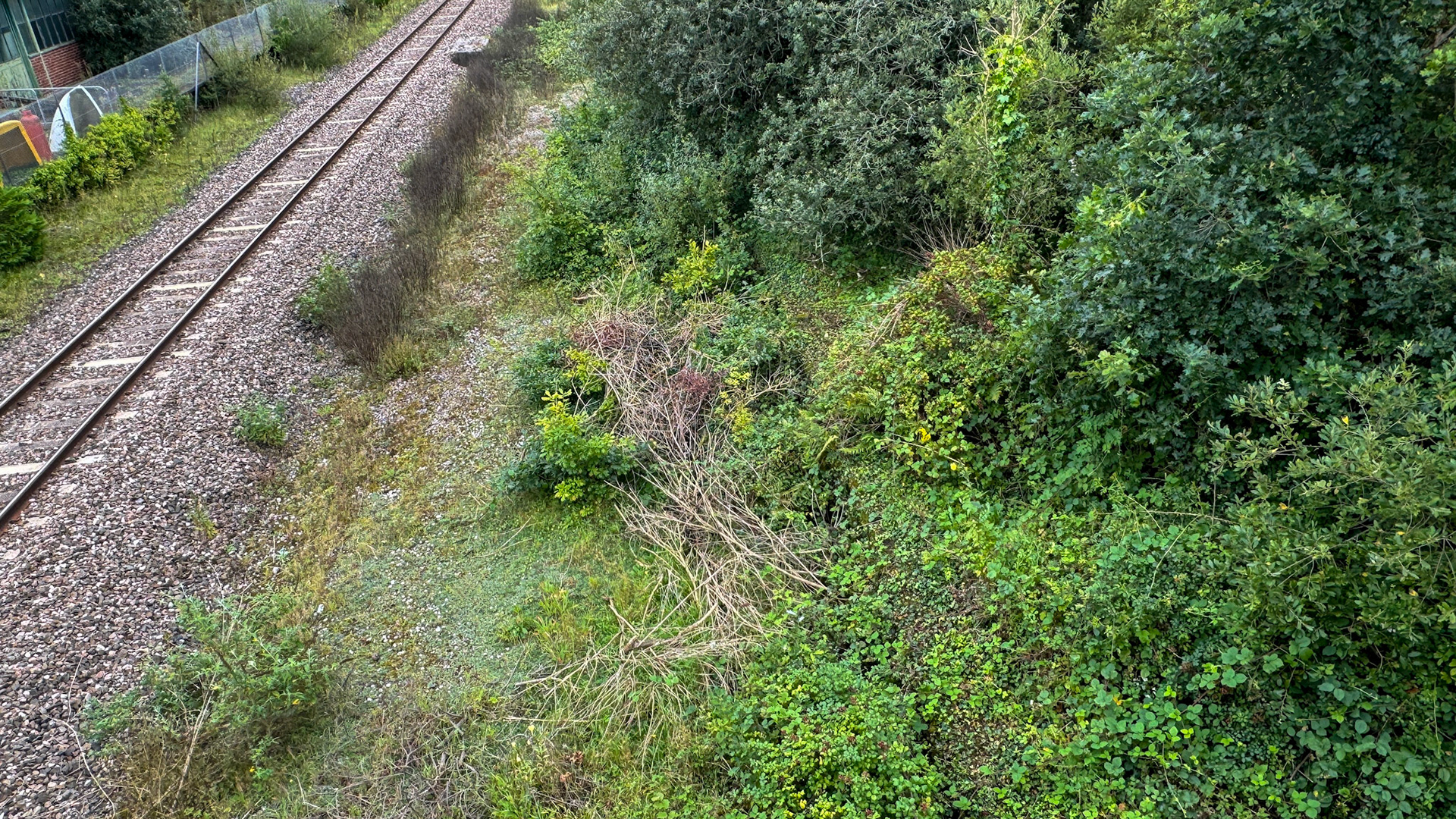 2024 Seaton Junction Site visit - 26