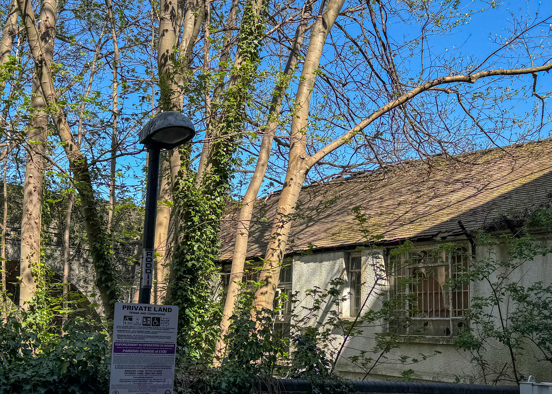2025 Herne Hill Depot and Shop-rear view from Peabody Buildings (Express Dairy Tales collection)