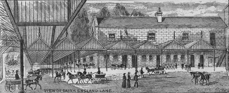 1893 Mr J Richards, Cowkeeper and Dairyman, Royal Dairy, 41 England Lane, Belsize Park, and 90 West End Lane, West Hampstead. Illustration for Progress and Commerce. (Courtesy Look and Learn)