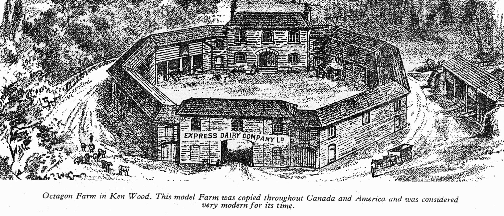 1869 Octagon Model Farm at Kenwood was operated by Express until 1924, when it was demolished for the opening of Ken Wood by the King. From 1935 May-Dairymaid Magazine 47-Edited Highlight (Express Dairy Tales Archive)