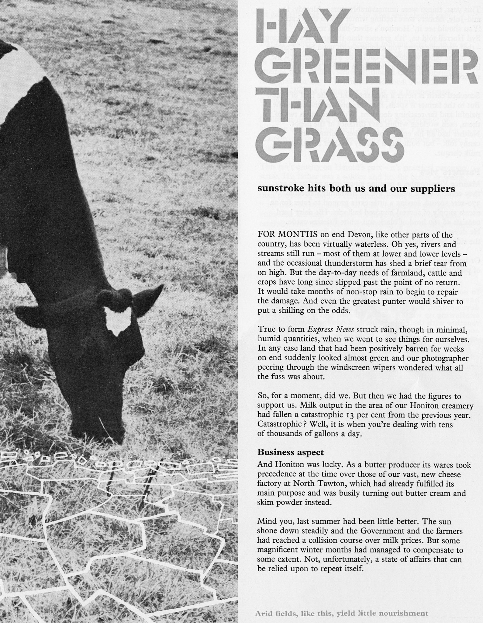 1976 Honiton milk supply in time of drought