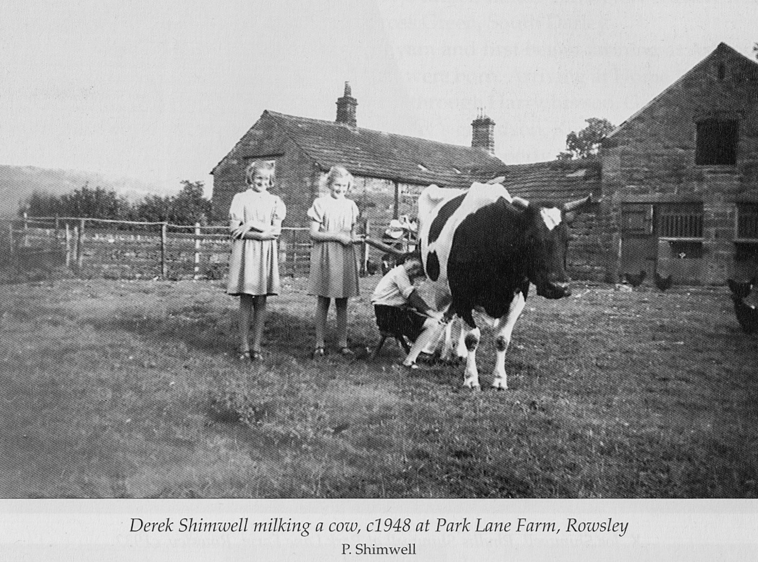 1948 Park Lane Farm, Rowsley-hand milking.(Courtesy 'Dales Life in the Devonshire and Rutland Villages' by Keith Taylor, County Books, image by: P Shimwell)