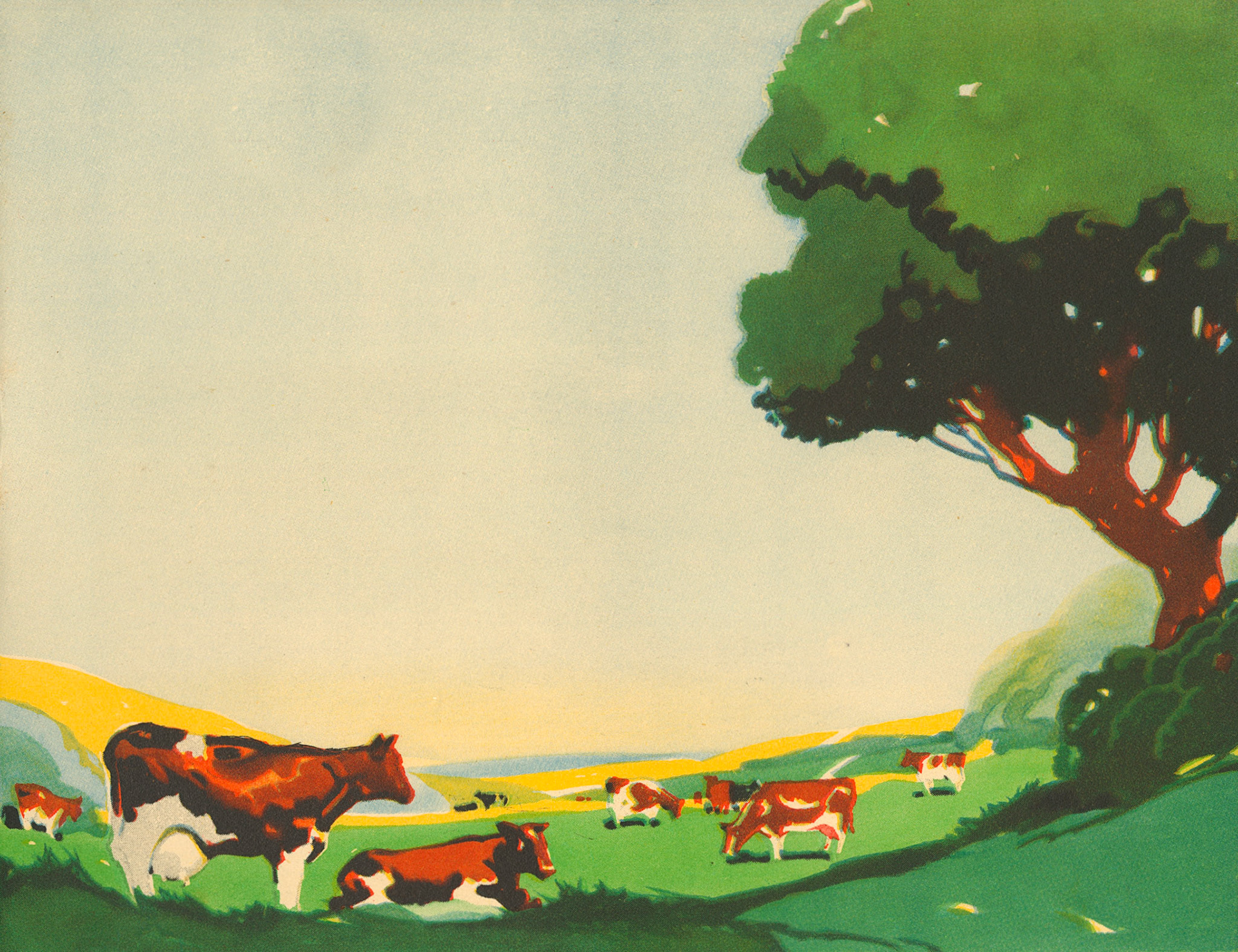 1930's 'While London Sleeps' Booklet