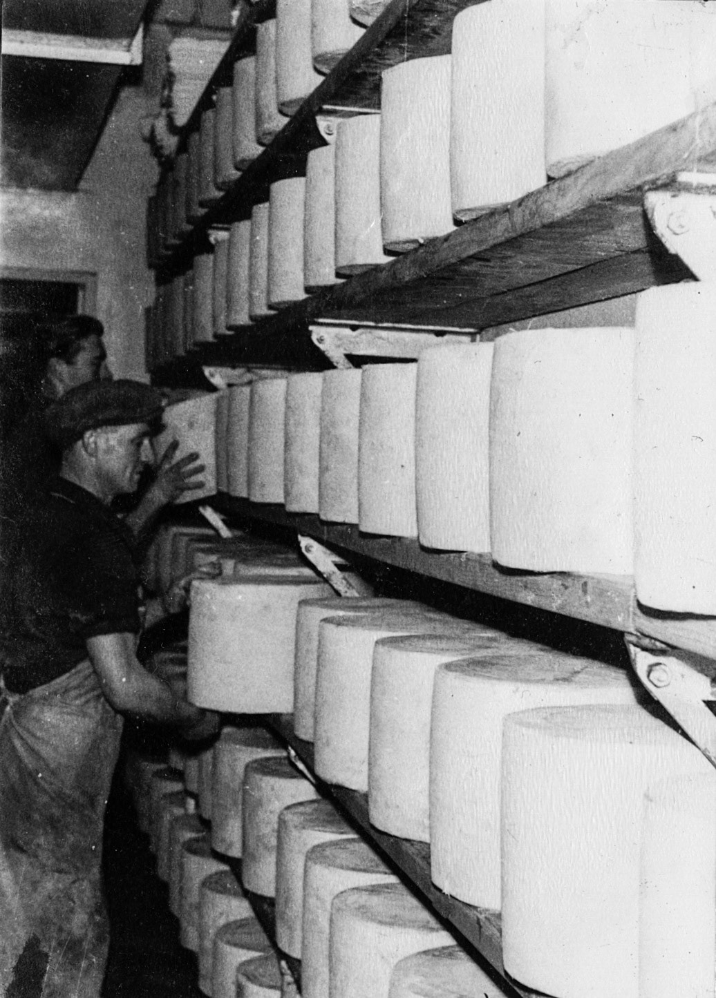 1970's Cheese Store (Joe Lyons Collection)