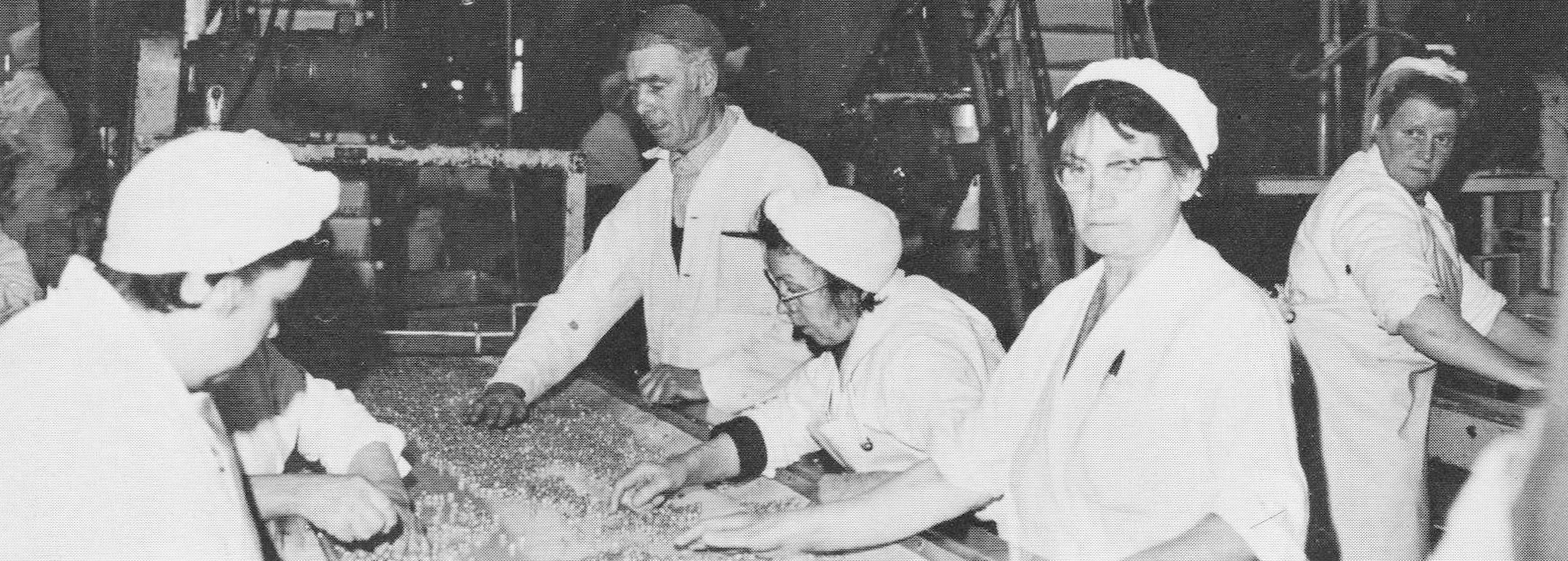 1969 Goldhanger Fruit Farms. "Chargehand Arthur Sayer Dorothy Bloomfield, Winnie Sowden and Nellie Jopson, inspecting marrowfat peas". (Courtesy Lee Morrison)
