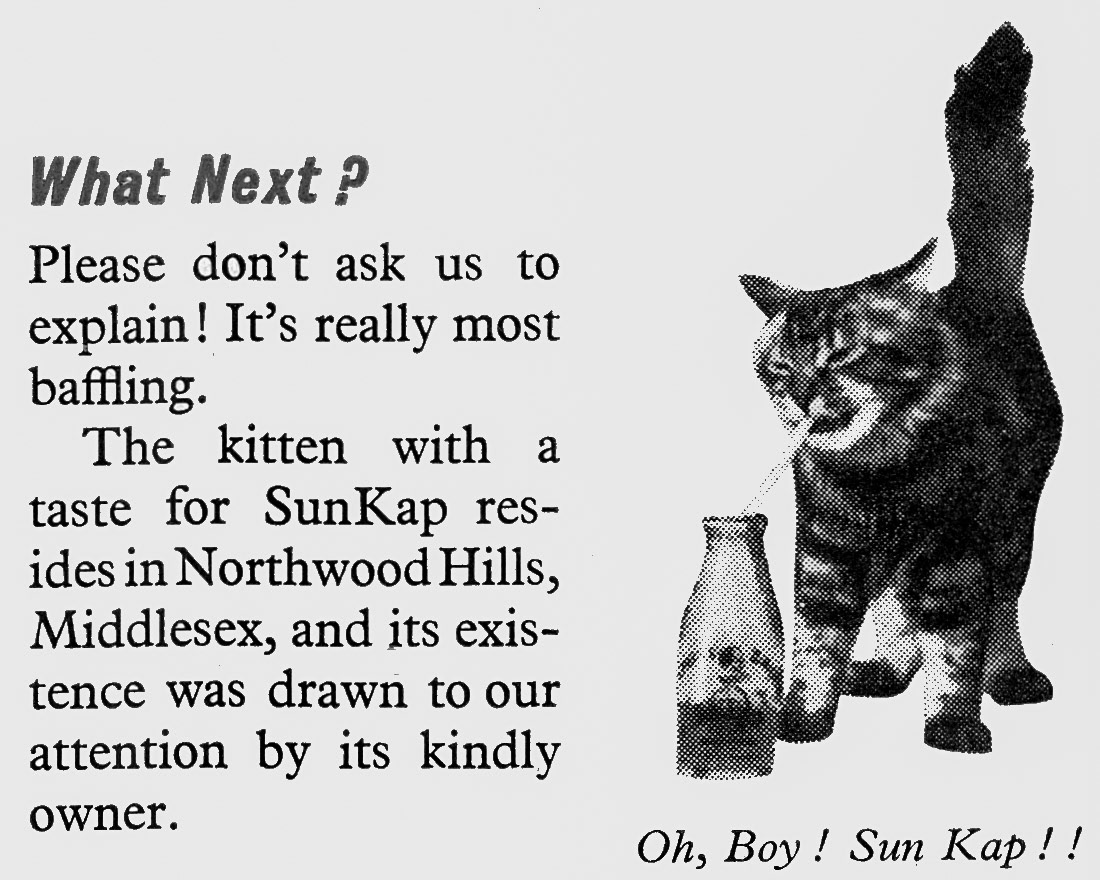 1956 Northwood Hills kitten seems to enjoy SunKap orange drink. (Express News April)