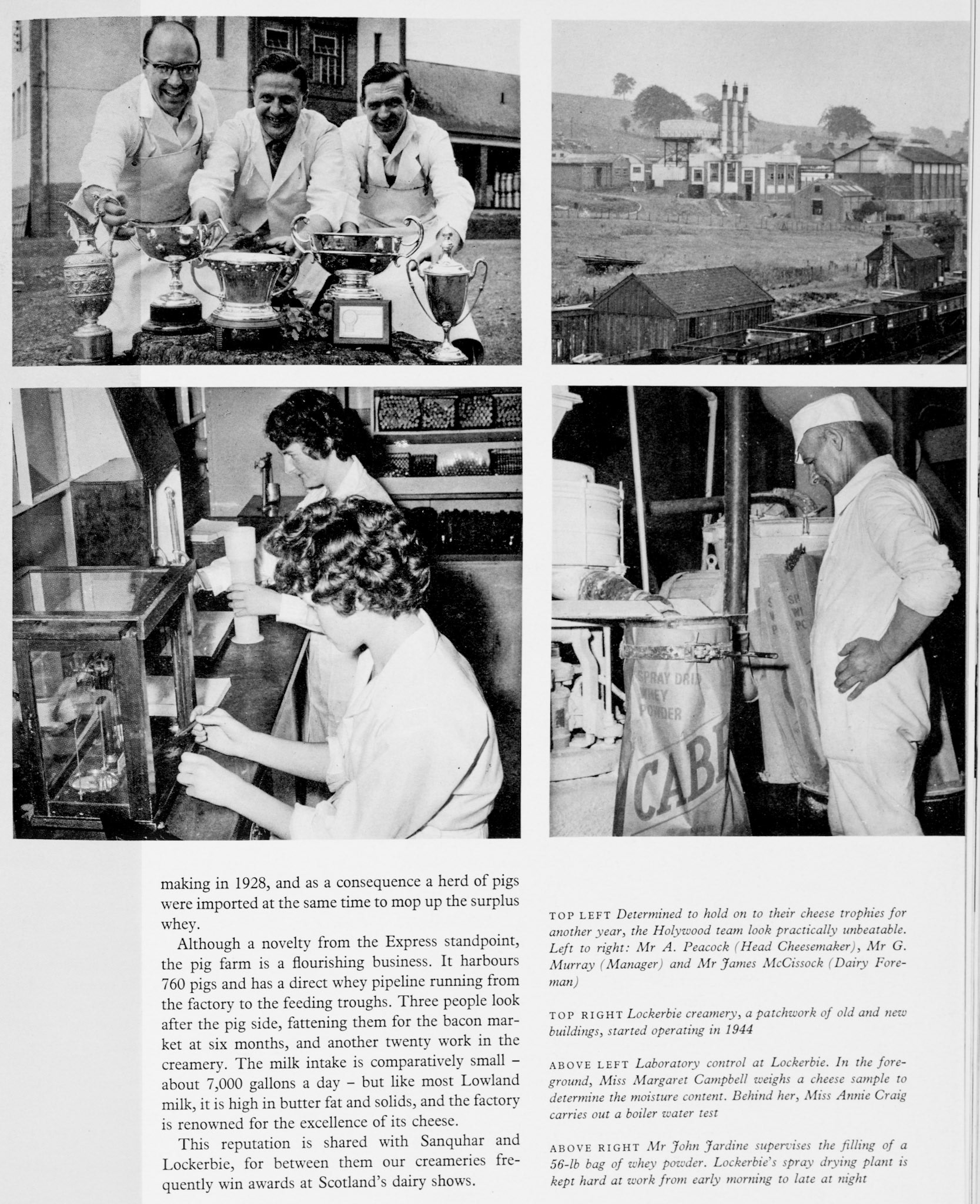 1961 History of the Scottish Division explained. Holywood and its pig farm are discussed, and pictured are cheese awards gained by the site and several pictures of Lockerbie including the laboratory and whey powder processing. (Express News Autumn)
