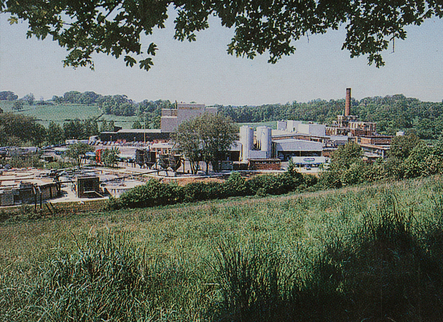 1988 Staplemead, from Ski Silver Jubilee brochure