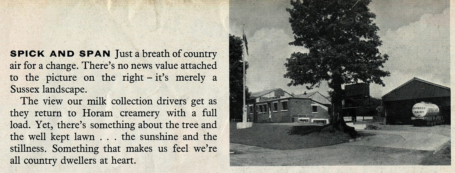 1959 Horam Creamery, Sussex in the sunshine