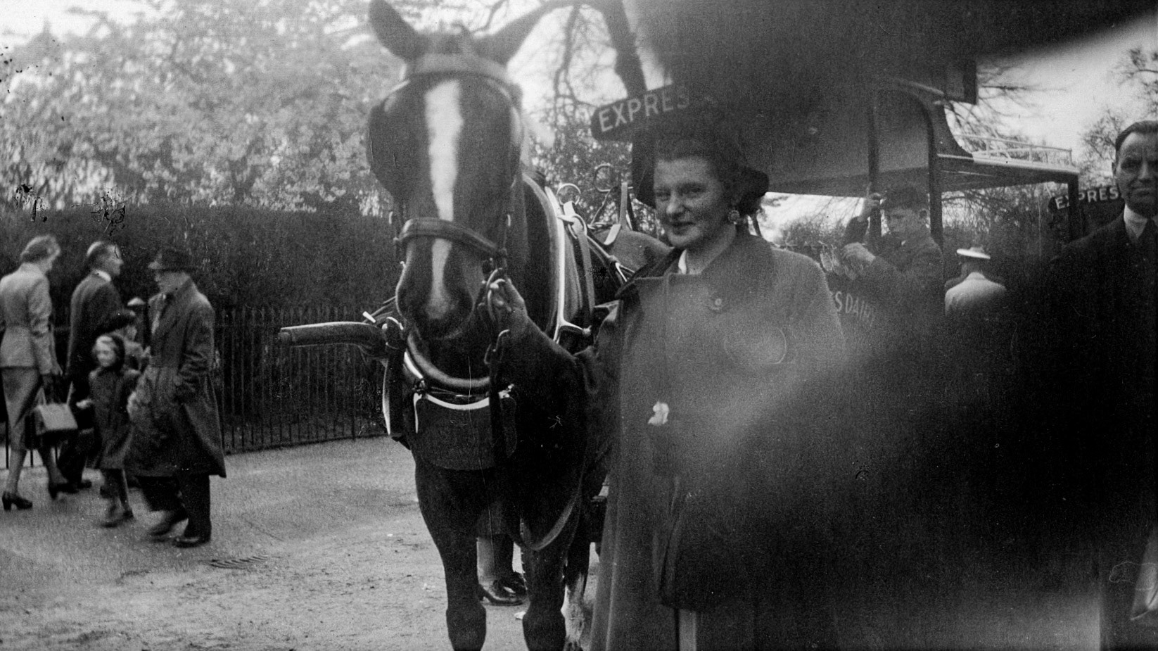 1960c Kingsbury, Edgware. Inscribed on reverse "Mum with Express Mlk Delivery, horse and cart" The lady is Maureen (Katherine) Parker, wife of  George (Ernest) Parker who was a milkman at Hemel Hempstead for many years and was awarded a 30-year watch in 1965. (Courtesy Dawn McGlen)