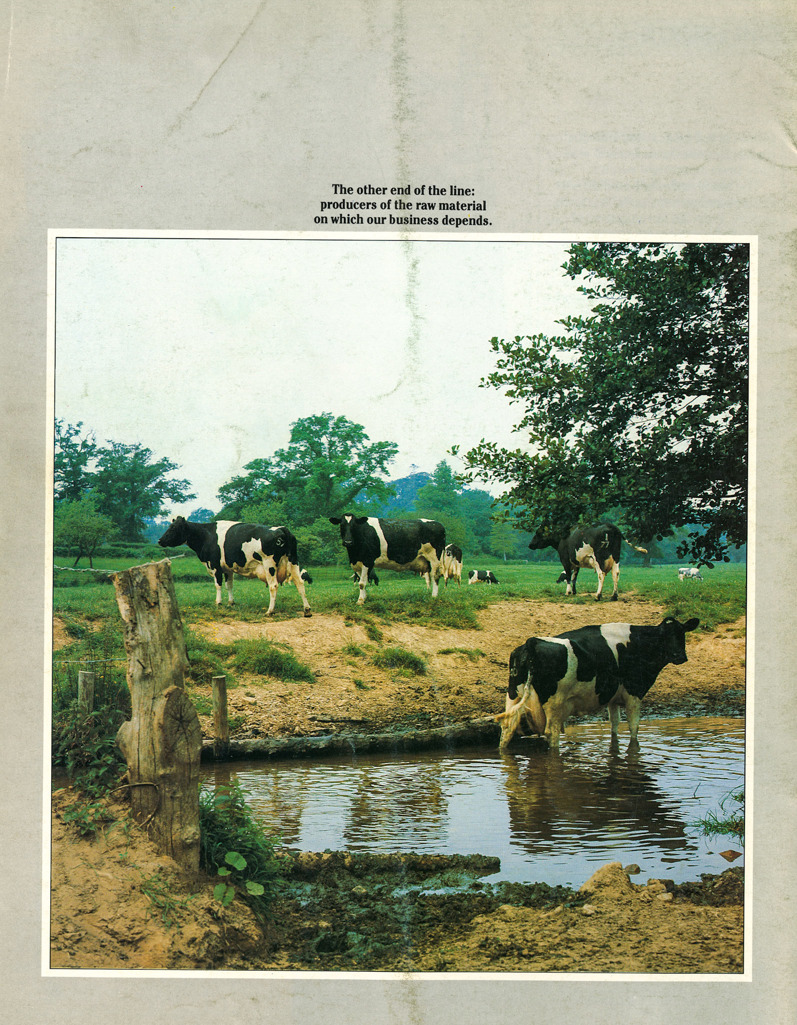 1987 Express News Back Cover featuring 'the producers of the raw material on which our business depends'