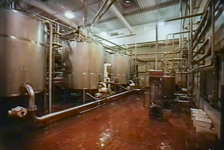 1990's Pasteurising Floor (Stills from Ruyton Video (Steven Harley))